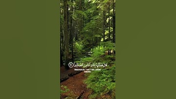 الشيخ اسلام صبحي سوره الشعراء ❤️ #الشيخ_اسلام_صبحي #قرآن #تيم _رمضان