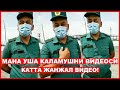 МАНА УША ЗУРОВОН ГАИ ХОДИМЛАРИ! #7