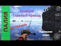 Русская рыбалка 4 - Ладожское озеро - На палию без поводка