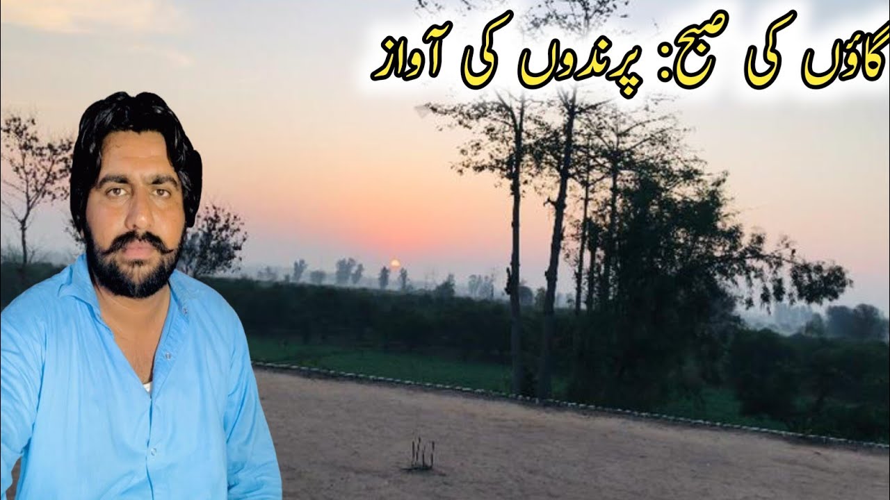 Real Village Life Morning Routine | Poultry Farm Daily Work 🐓🌅