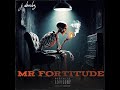 J DOUBZ - Mr Fortitude