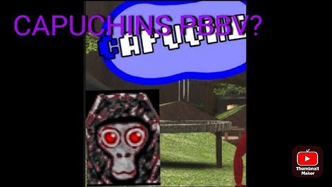 Is this Capuchins pbbv? | capuchin vr