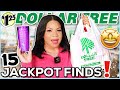 Watch this before going to dollar tree new hidden gems  moneysaving dupes