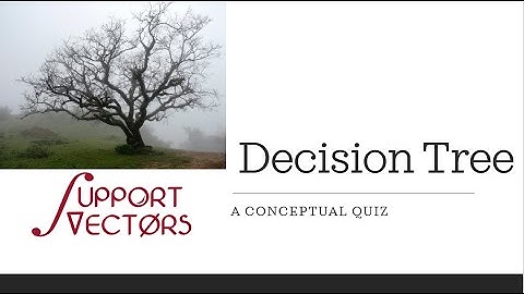 Quiz on the Decision Tree Algorithm