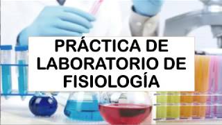 🔬Práctica sobre difusión🔬