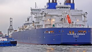 RUSSIAN LNG ARRIVES ON MASSIVE LNG TANKER AT THE PORT OF ROTTERDAM  4K SHIPSPOTTING APRIL 2024