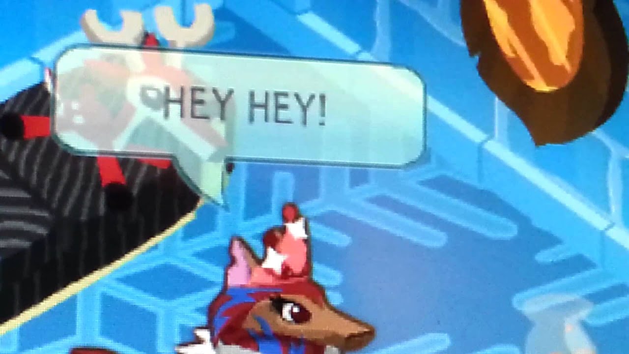 Animal JamAJMVRock n' Roll YouTube