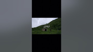 القارئ : محمد صديق المنشاوي سورة:التوبة [الآية-21]