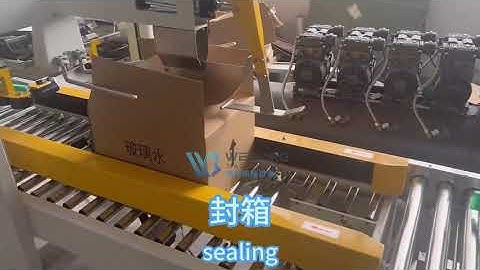 WB-MDX Fully automatic unpacking, sealing , palletizing line