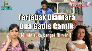 Pasti Kalian Suka Film Ini || Alur Cerita Film Aksi India BRINDAAVANAM