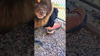 jippi jippi Ausflug #mountains