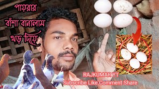 খড় দিয়ে বাঁশা বানালাম পায়রার। পায়রার ডিম। pigeon kabootar pigeonlover birds