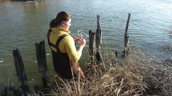 Women of UMCES: Lora Harris