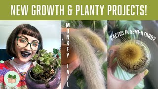 EXCITING NEW GROWTH & HOUSEPLANT PROJECT UPDATES! 🪴Chatty Plant Care