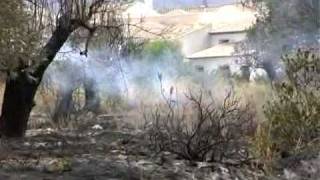 UNA PERSONA MUERE EN UN INCENDIO EN ZARCILLA DE RAMOS