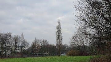 OMP M1 with Mikado VBar Neo as FBL and VBar Control (2nd Outdoor flight)