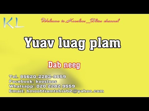 Video: Yuav Luag Dab Neeg. 