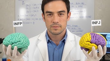 Brain Scans Reveal INFP vs INFJ Differences (with Dr Dario Nardi)