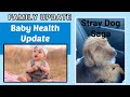 Family Update Baby Health Issues &amp; Stray Dog Saga | It will melt your heart