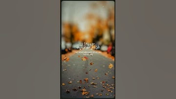 سورة الزمر آية ٢٢ الشيخ محمد اللحيدان #القرآن#سورة#الزمر #المصحف#اكسبلور#فلسطين  #الشيخ#محمد#الحيدان
