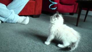 SANY2444.AVI