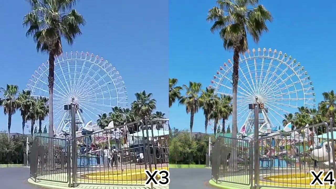 大きさ比較画像専用 ハマースレイ すみれ 追加画像 大きさ比較画像専用