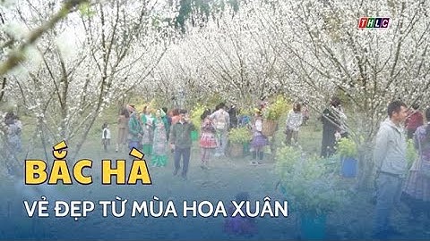 Bắc hà cách lào cai bao nhiêu km năm 2024