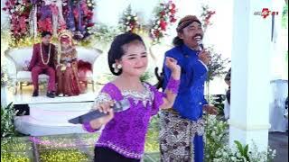 BOCAH GUNUNG - MANIS - NINGGAL KATRESNAN | CAMPURSARI WIDYO LARAS COKEK MANIA SRAGENAN
