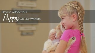 How To Adopt Your Puppy On Our Website, Dog Breeder Charlotte, Charlotte Dog Club