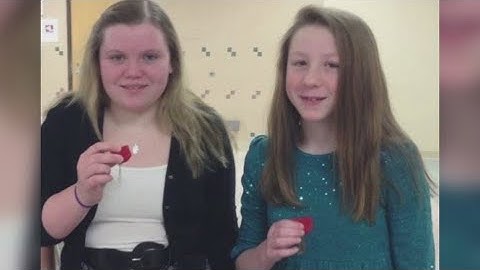 Court releases hundreds of pages of exhibits in Delphi murders case