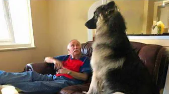 Dogs Who Totally Won a Grandpa’s Heart 🐶 Cute Dog and Human Video!