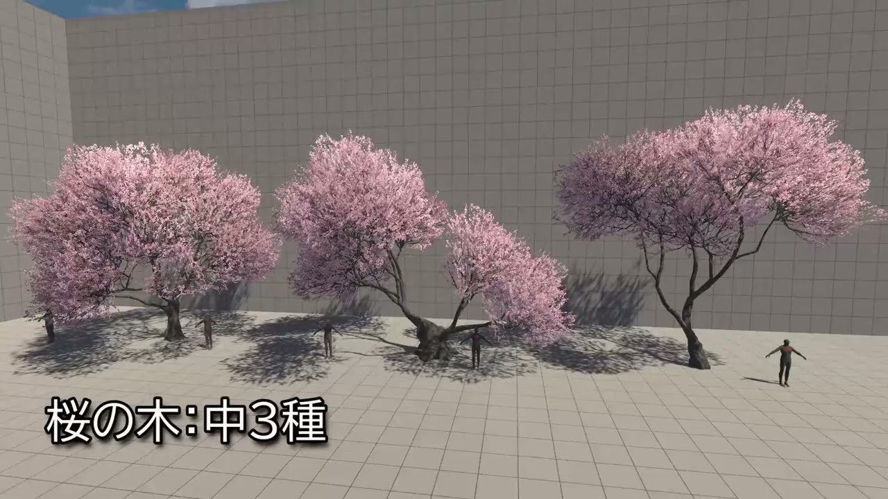 桜の木/cherryblossom - YouTube