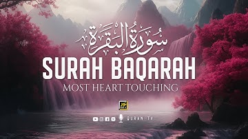 Surah AL BAQARAH Full (سورة البقره) THIS ULTIMATE VOICE WILL TOUCH YOUR HEART | QURAN TV