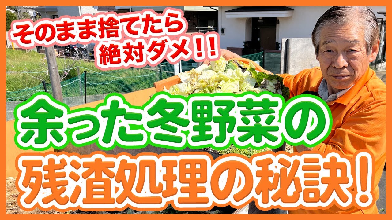 Don't just throw away leftover winter vegetables from your home
