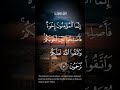 سورة الحجرات إنما المؤمنون اخوة فأصلحوا بين أخويكم واتقو الله لعلكم ترحمون الاية ١٠ Quran
