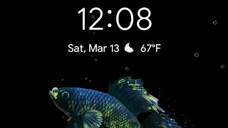 How to get a cool live wallpaper on Android | Betta Wallpaper HD screenshot 3