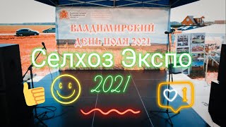 Сельхоз Экспо. Владимирский день поля. Agricultural Expo. Vladimir Field Day. DJI MAVIC MINI