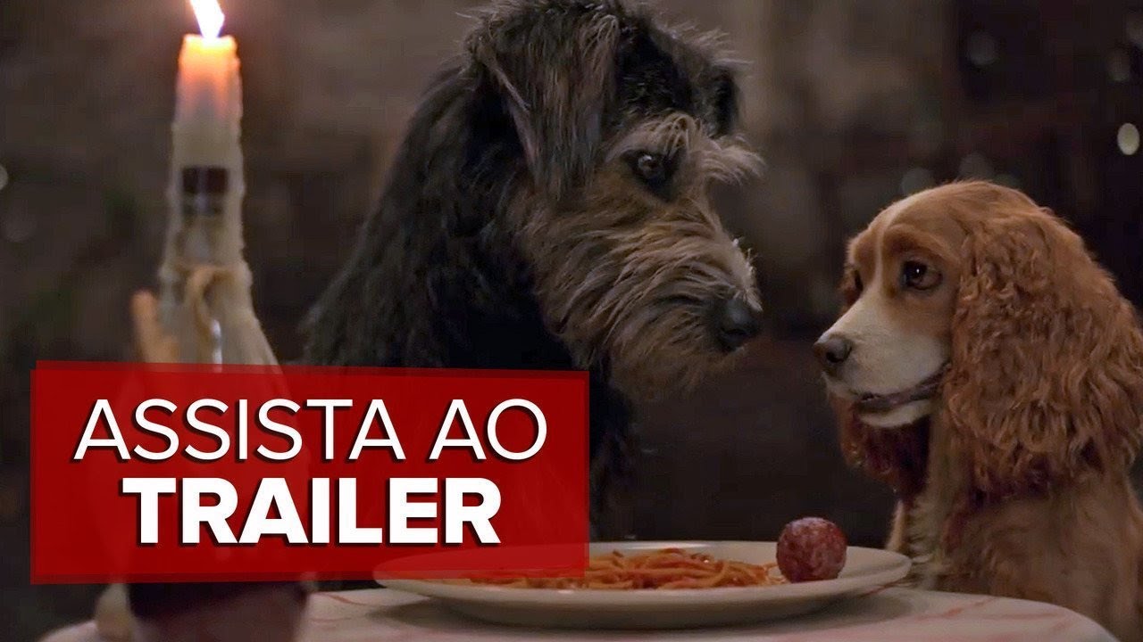 A Dama e o Vagabundo: Cão de nova live-action da Disney escapou da morte em  abrigo