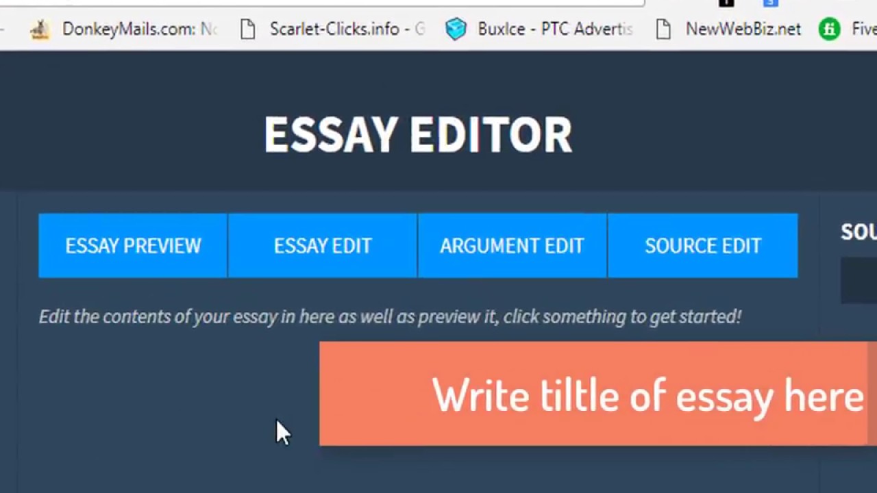 online essay editor