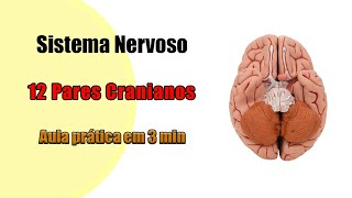 Nos nervos danos cerebrais curando