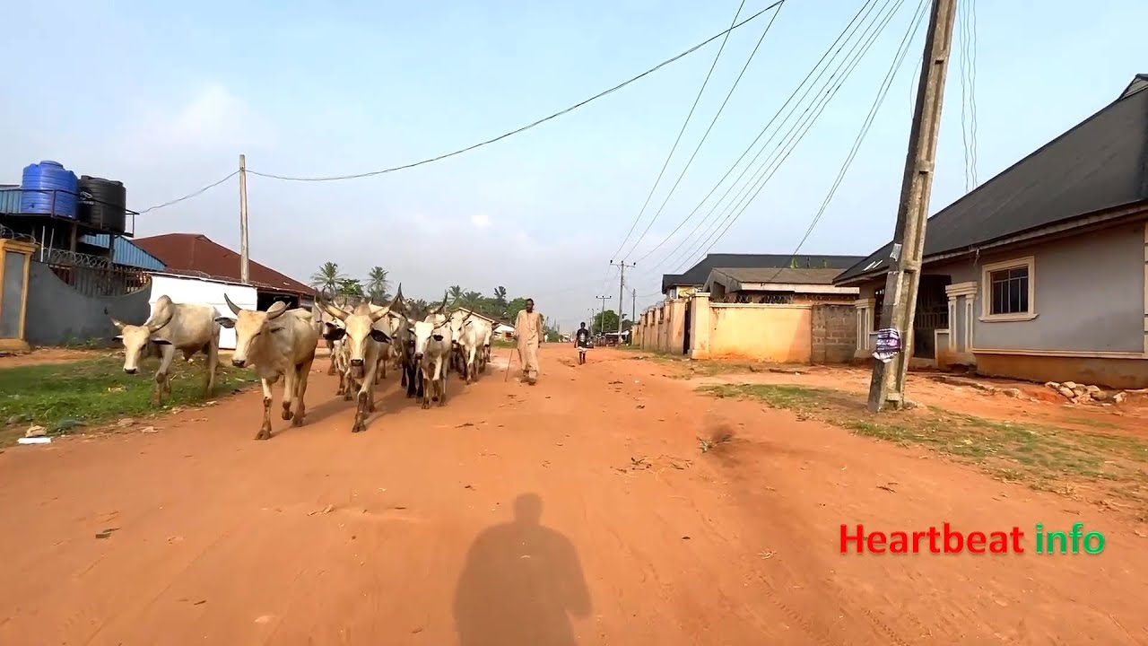Inside the ogiemwenkhen street | off Saint savior road| walk inside Benin city