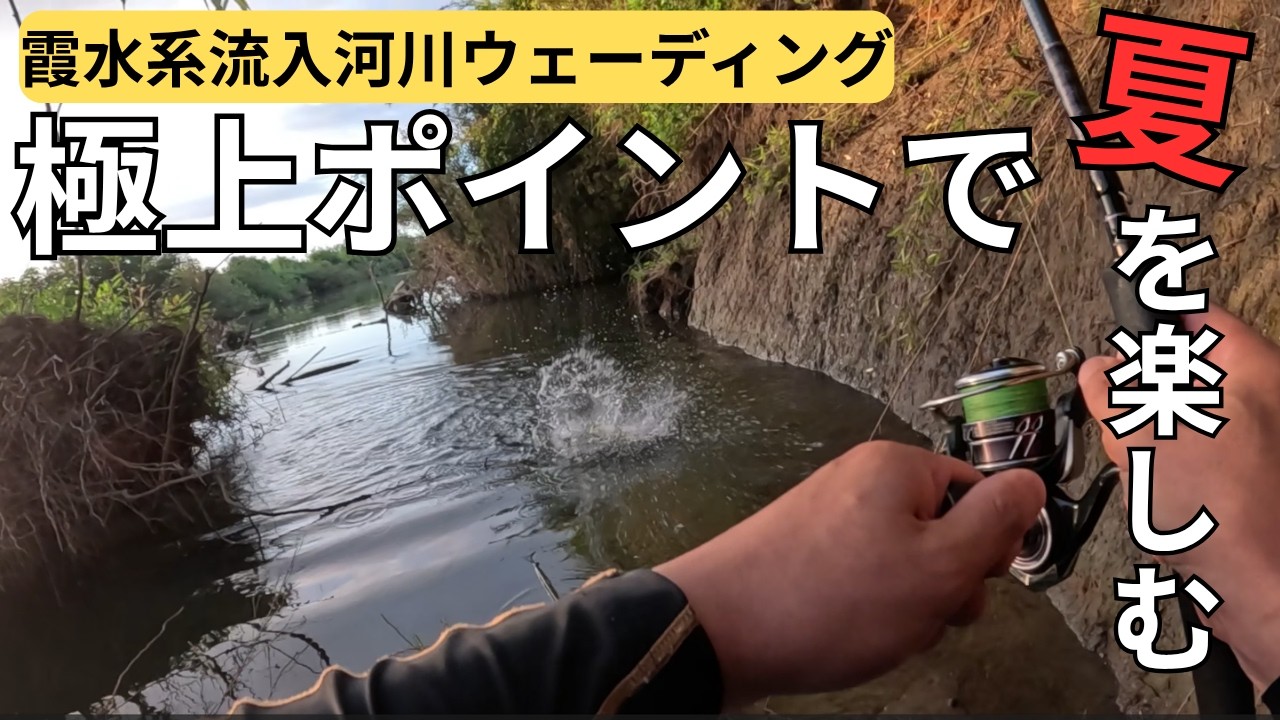 過去一魚影が濃いと噂の桜川で釣りしたら【霞ケ浦 バス釣り ウェーディング】