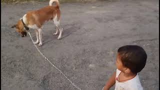 Dog Playing in cute boy 🐕🙇