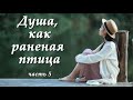 ❤️‍🔥Истории из жизни❤️‍🔥Жизненные истории. Душевные истории. Душа, как раненая птица 5