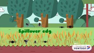 edge effects video LE
