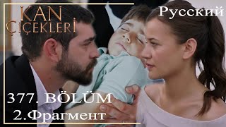 Kan Çi̇çekler (Кровавые Цветы) 377 - 2 - Баран, Может Ли Чинар Быть Нашим Сыном?