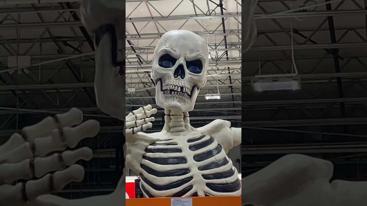 La calavera 💀 sale de su tumba 🪦 