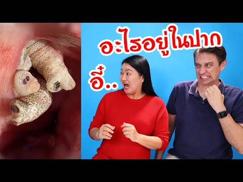 อี๋! ตัวอะไร อยู่ในปาก? รีแอคชั่นจากคลิปติ๊กต็อก (Tiktok Reaction) | Mommy & Daddy Showtime