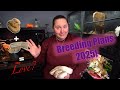 Snake Breeding Plans 2025!