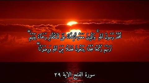 سورة الفتح بصوت الشيخ ياسر الدوسري الاية ٢٩